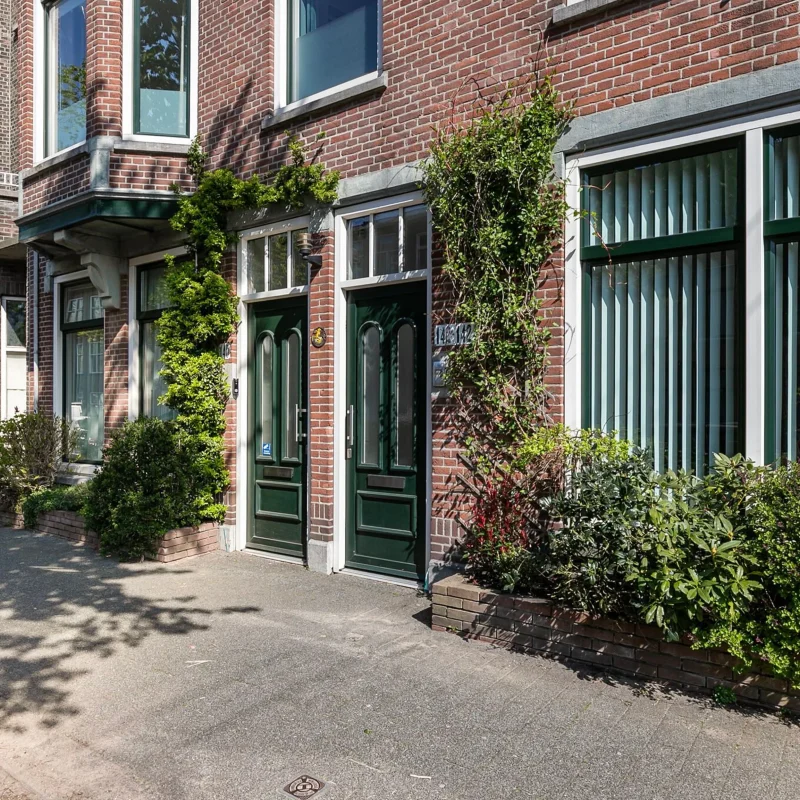 Nova Vita carasal img 2