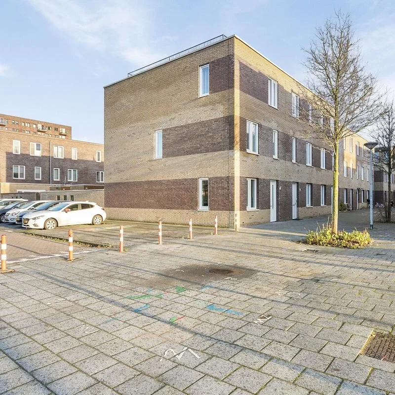 realworks-image-27724